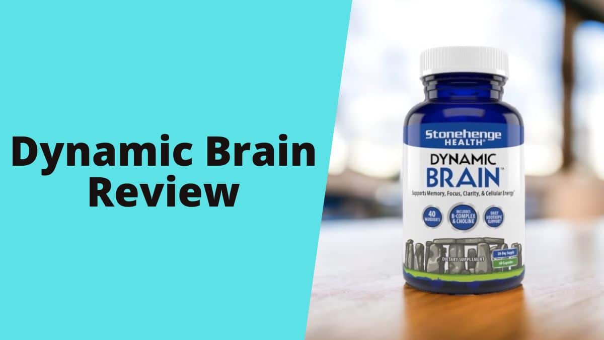 Dynamic Brain Reviewed